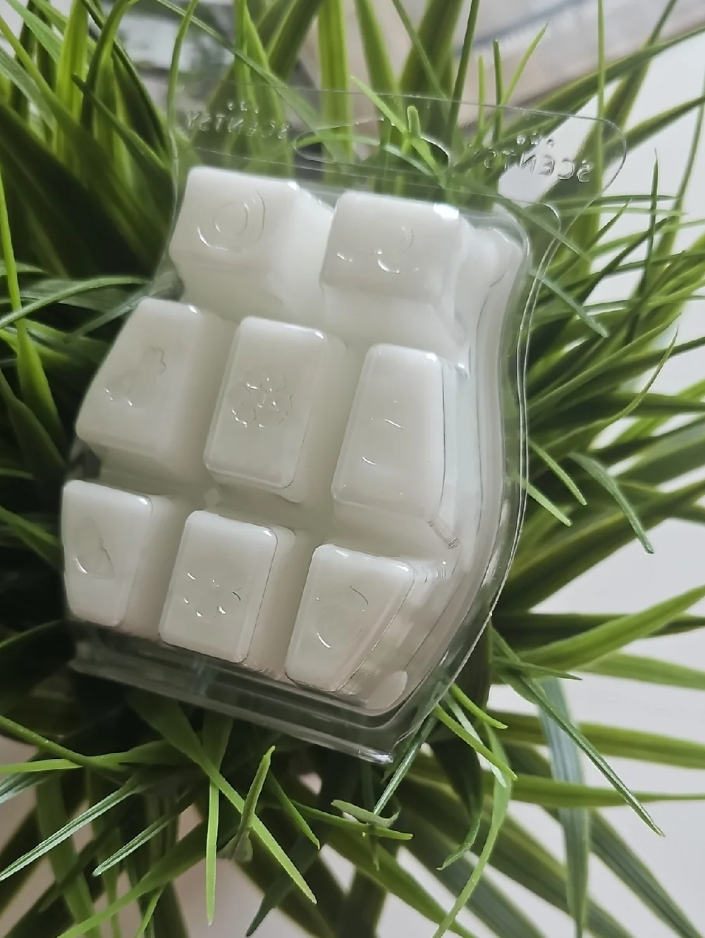 Scentsy Seagrass & Sand Wax Bar - Soft Sage